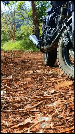 Two Wheels