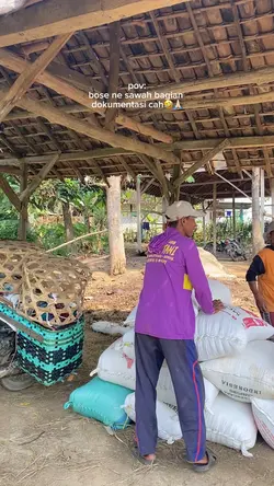 bos petani 