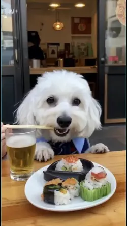 宇宙人に連れ去られちゃった