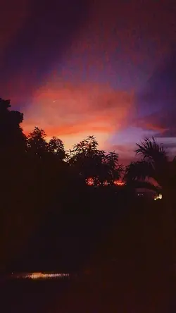 Purple sunset