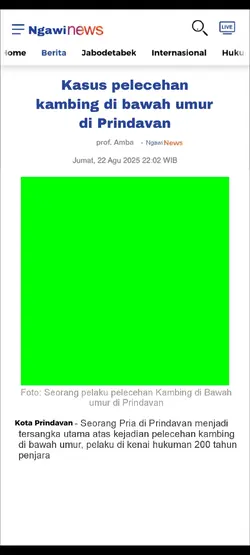 Kasus Pria Prindavan