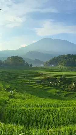 suasana alam
