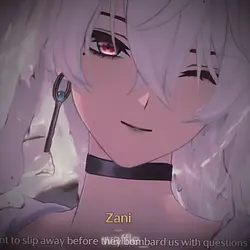 Zani