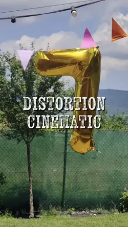 Distortion Effect