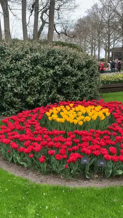 keukenhof