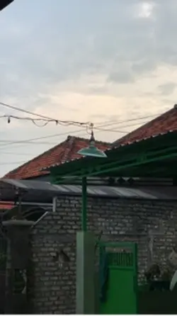 Hingga tua bersama