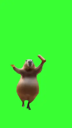 Chicken capibara