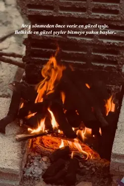 Şablon