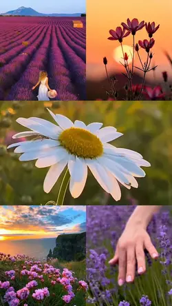 Nature vibes