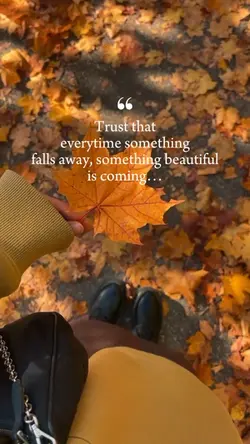 Falls Away 🍁
