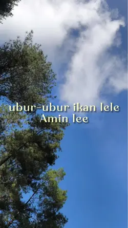 aminn lee