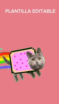 nyan cat 