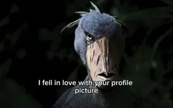 i fell in love with
