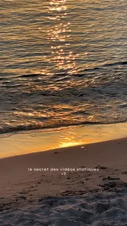 Statiques vidéos 🤩