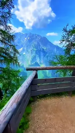 13 video or photo 