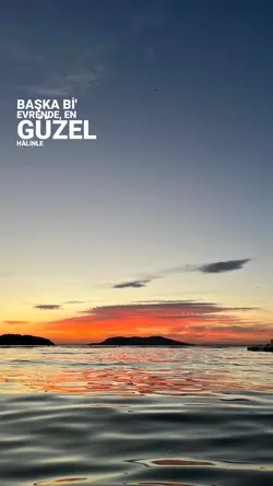 yeni şablon 
