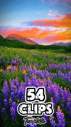 54 clip or photo 