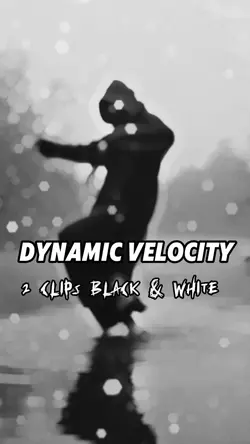 Dynamic Velocity 