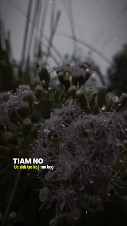 Tiam no ua siab tso