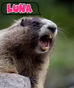 LUNA