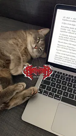DJ Sebatas Mimpi 