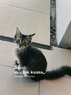 demi cinta