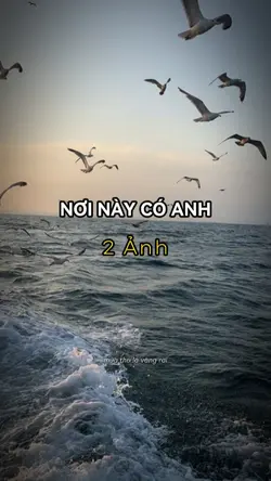 2 ẢNH