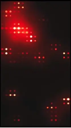 Red light