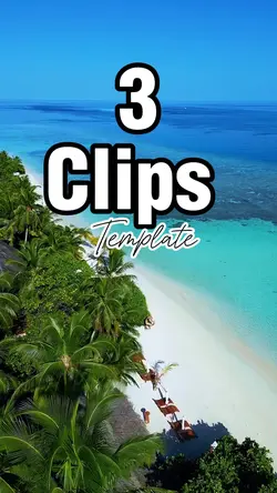 3 video or Photo 