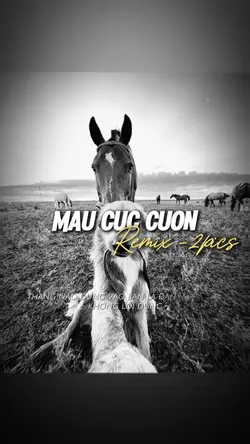 Beat 2 Ảnh Cuốn 