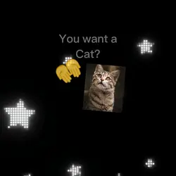 cat lovers template