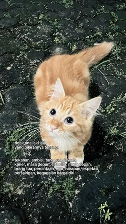 kata-kata 