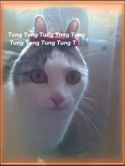 tung tung tung