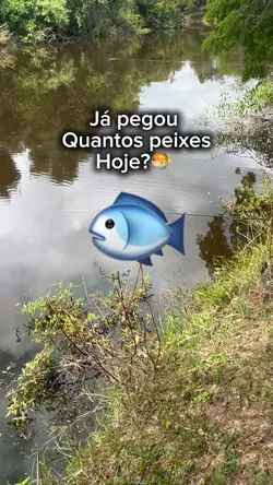 Já pegou peixe hoje?