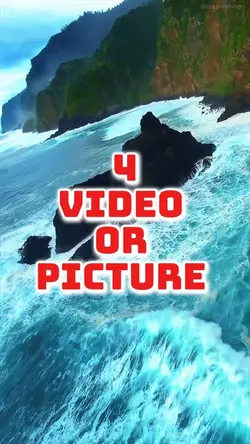 4 video or picture 