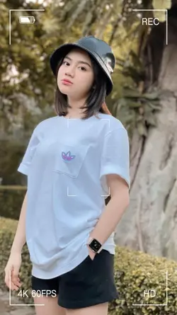 Transisi poto
