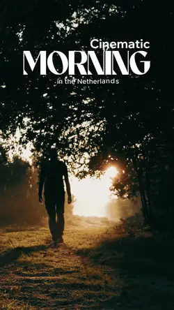 Morning 