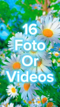 16 Foto Slides