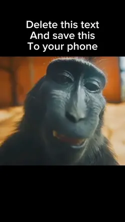 Monkey rizz