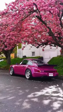 Classic Car🌸🩷