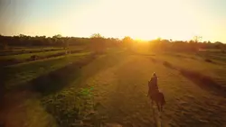Horse Landscape