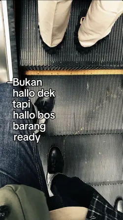 hallo bos