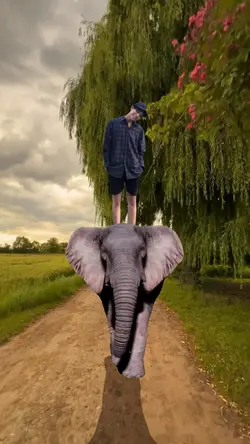 Naik Gajah