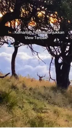 Pov ketemu rusa 🤩