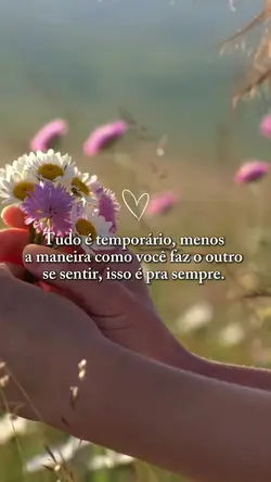 status de hoje 