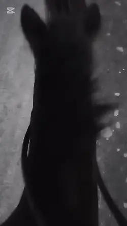 moja najlepsza jazda