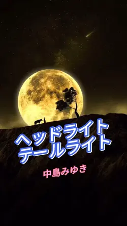ヘッドライト・テールライト🌟