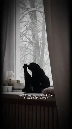 horror cat edit