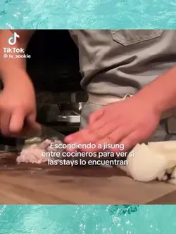 Delfín
