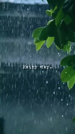 Rainy day